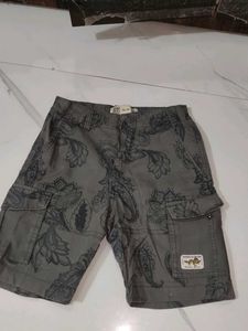 Men's Cargo Shorts with Paisley Print