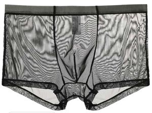 Sheer Mesh Boxer Briefs