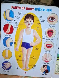 My First Board Book - All In One
