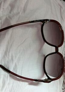Ladies Branded Sunglasses