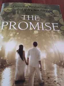 THE PROMISE