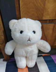 Teddy Bear combo (2 pic)