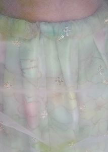 lehnga choli with long dupatta