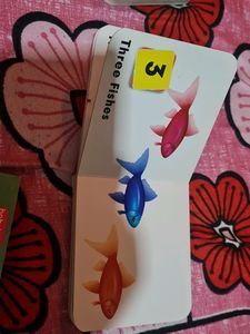 Combo Babyhug Board Book