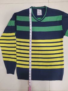 Striped V-Neck Knit Sweater