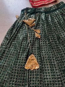 Gorgeous Sequin Lehenga Choli Set