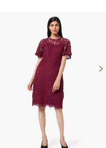 Elegant Lace Dress