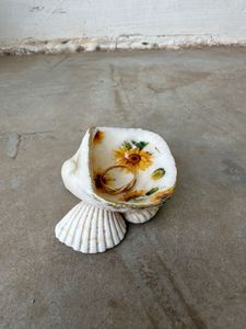 real seashell Sunflower Shell Trinket Dish