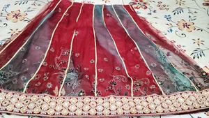 Beautifully Embellished Ethnic Skirt/lehanga