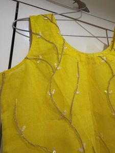 Embroidered Chatpata Top