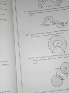 10 Assignments - Class X