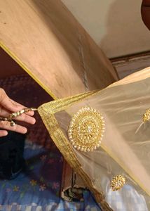 Wedding Gown with heavy dupatta