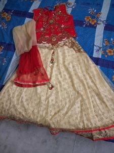 Stunning Embroidered Lehenga Choli Set for kids