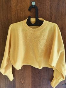 Korean Crop T- Top