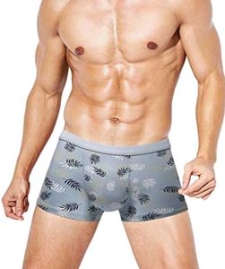 Medium Panty Mel