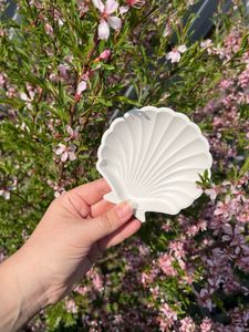 Decorative Shell trinket