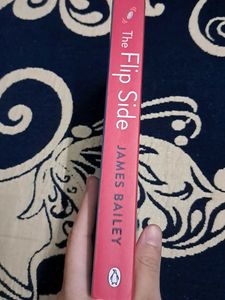 The Flip Side by James Bailey