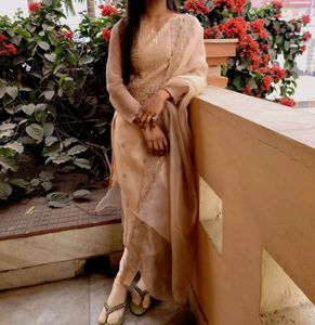 Organza Salwar Suit