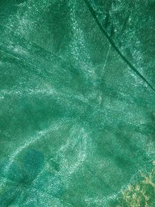 Green Floral Dupatta with Gold Border