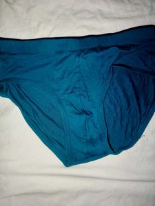 Comfortable Teal Briefs