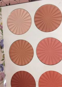 Multi-Shade Blush Palette Eyeshadow Book new