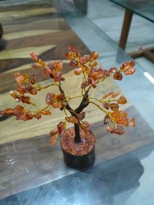 Carnelian Gemstone 100 Chips Tree For Positivity