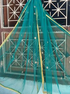 Teal Net Dupatta with Gold Border
