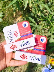 Tinted  Lip Balm pack of 2