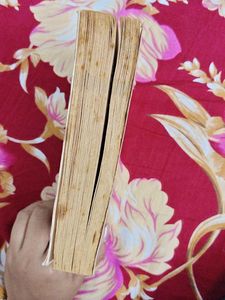 Theodore Boone: The Accused by John Grisham