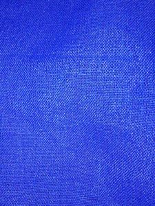 Royal Blue Cotton Saree with Silver Zari Border