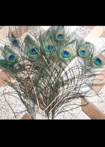 Elegant Peacock Feather Decor(8)