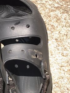 Crocs Black Sandals