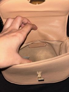Mango Mini Crossbody Sling Bag