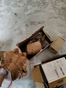 Storage Box In Coins Buy Bulk