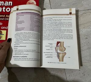 General Anatomy