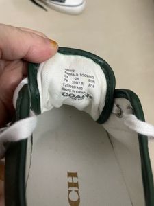 Stylish Green Canvas Sneakers