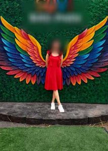 Red Flutter Sleeve Dress with Rainbow Wings
