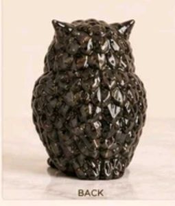 Shani Dev Power Owl &amp; Pyrite Showpiece