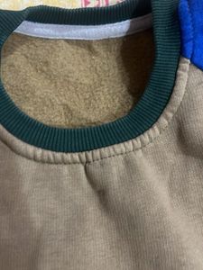 Color Block Crewneck Sweatshirt