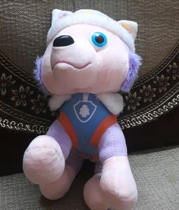 Cute Puppy