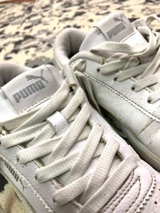 Puma White  Sneakers