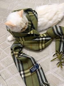 Burberry Plaid Scarf