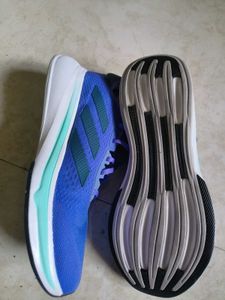 Adidas New Running Shoes