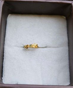 Gold Nose Pin
