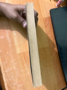 It Started with a Friend Request Novel