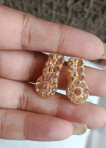 1 Pair Of Golden Earrings