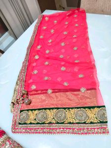 Stunning Pink heavy handwork bridal lehenga Choli