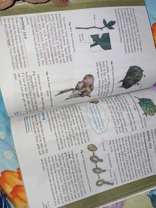 Science Textbook For Class VII