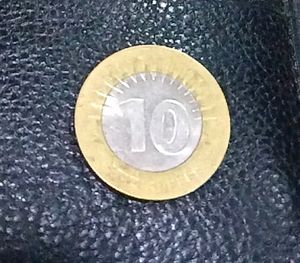 10rs Rare Coin Of 2009 Without Rs Symbol