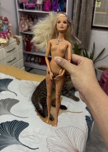 Barbie Doll - Ready for New Adventures